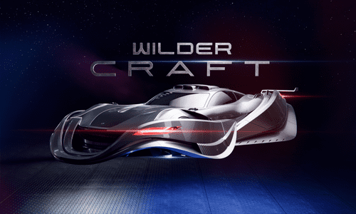 Wilder World Craft
