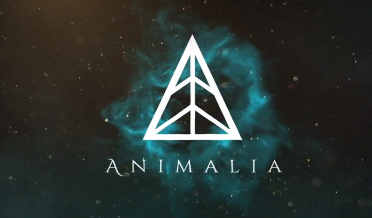 Animalia Talks about the Future of Blockchain Card Games