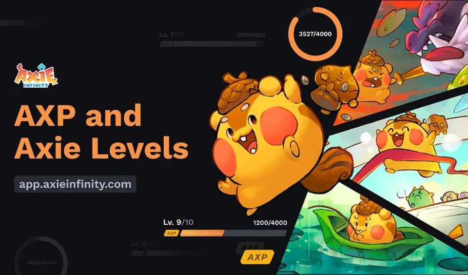 Axie Infinity Launches the Axie Experience Points
