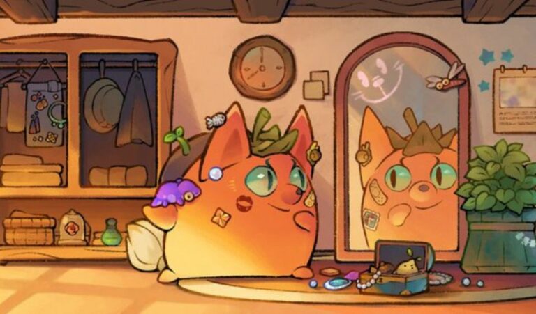 Axie Infinity Accessories