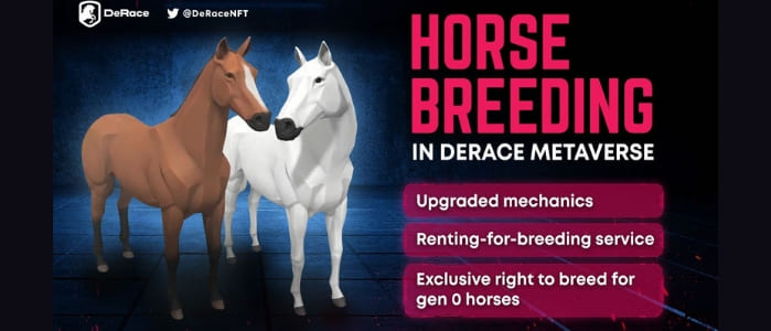 DeRace Horse Breeding