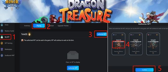 Honor World Dragon Treasure Guidelines