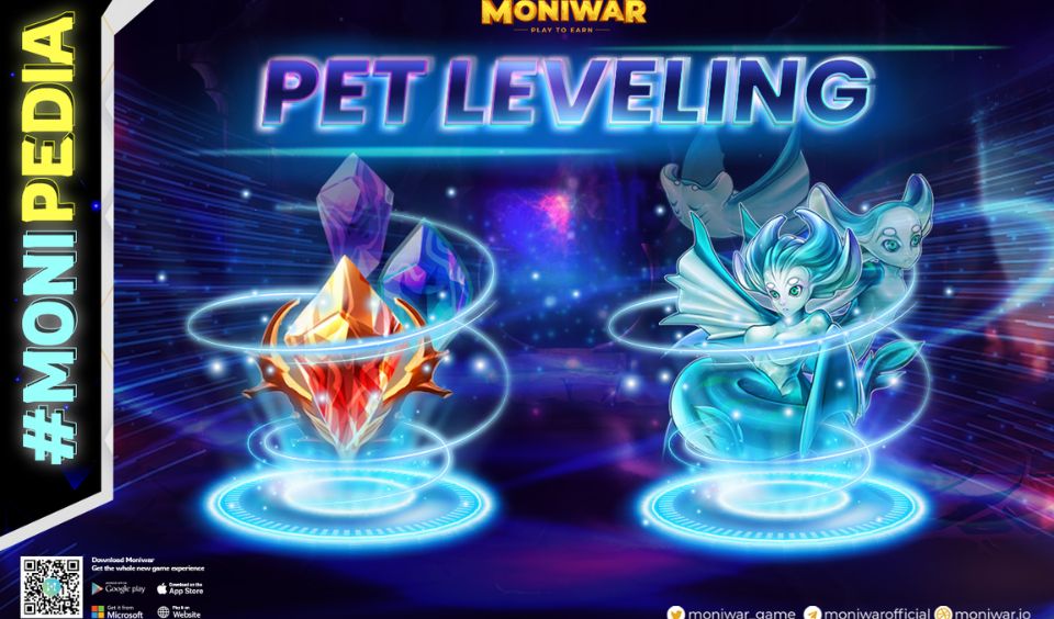 MoniWar Introduces the Pet Levelling