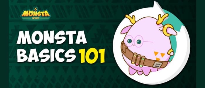 Monsta Beginners Guides Basics 101
