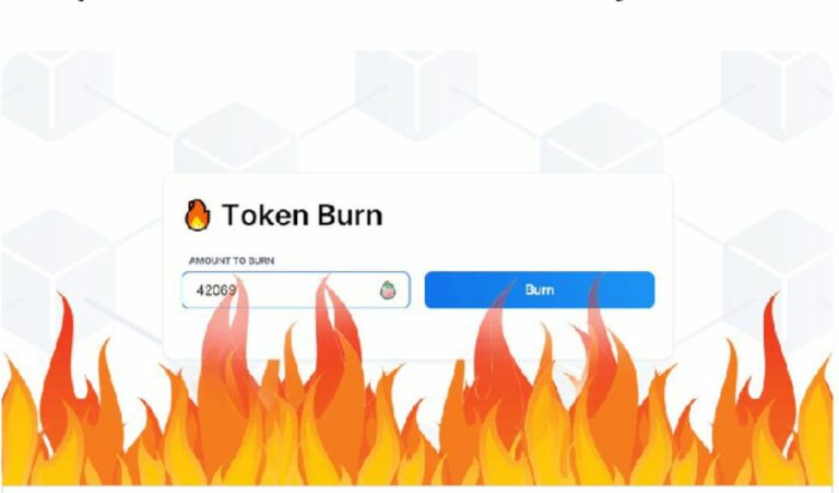 Ronin Introduces the SLP Token Burn Tool