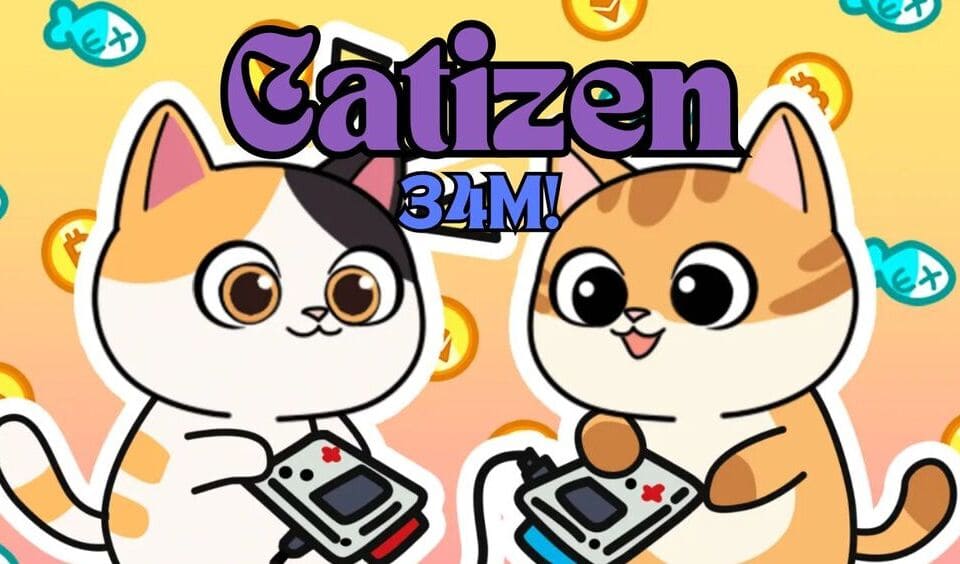 catizen featured