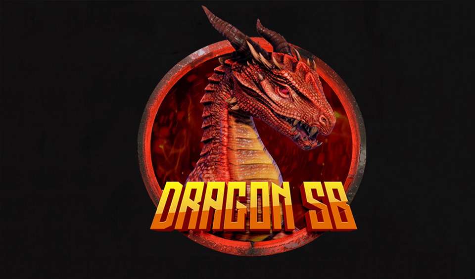 Dragon SB Partners with TerraFormer for its IDO