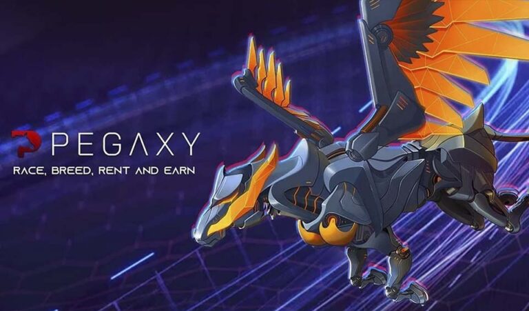 Pegaxy Transformative Exchange Journey