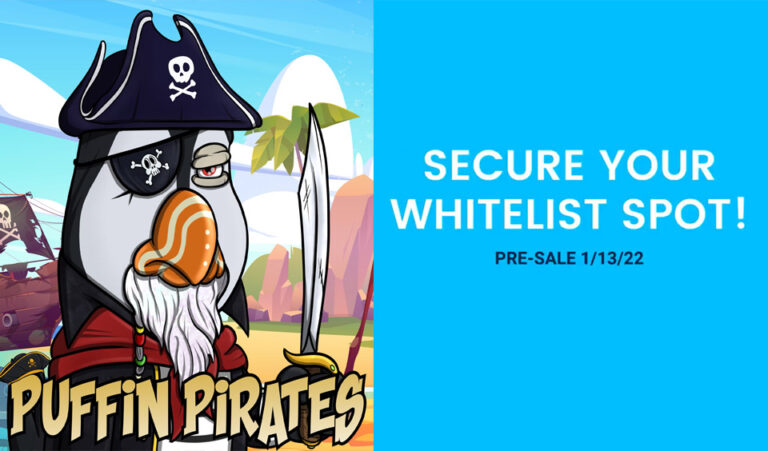 puffin pirates game