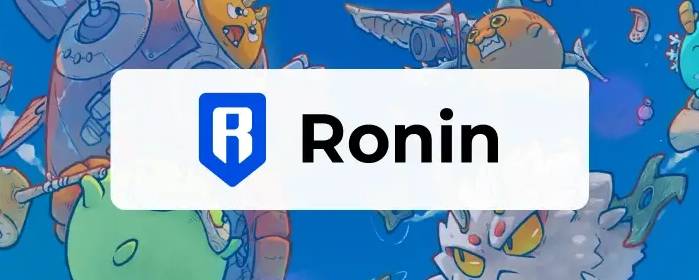 Ronin Launches Waypoint to Simplify In-Game Transactions