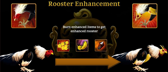 rooster battle enhancement