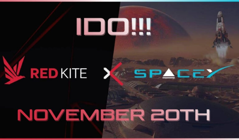 space y red kite