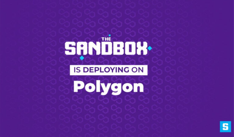the sandbox